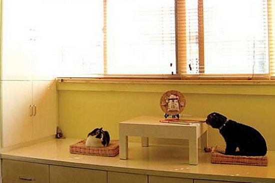 ��_�����b��Ч���D